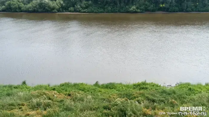 An Italian needlefish was discovered in the Volga River in the Nizhny Novgorod region.