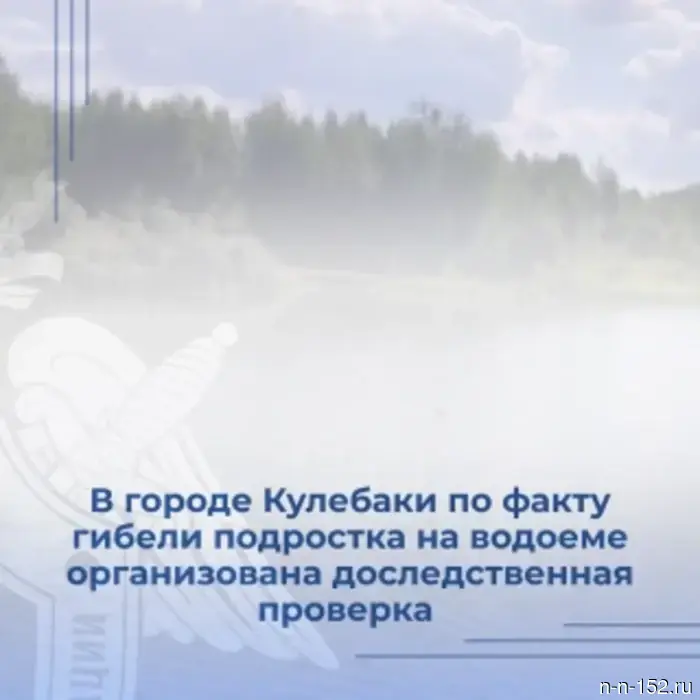 В городе Кулебаки по поводу смерти подростка на водоеме проводится доследственная проверка.