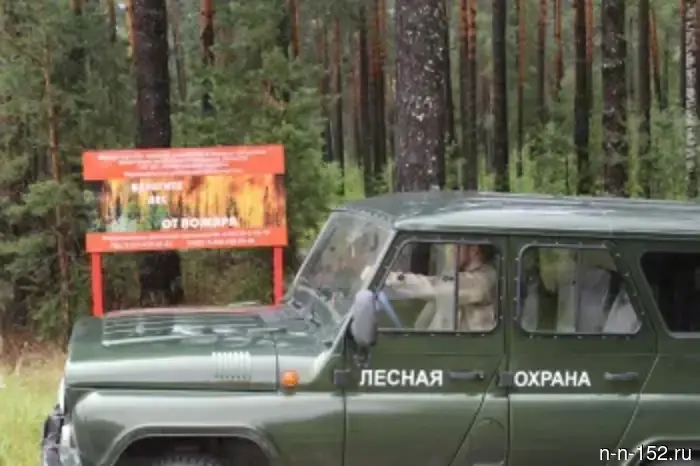Ситуация с пожарной безопасностью в лесах Нижегородской области.