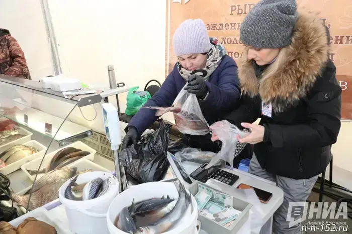 В Нижегородской области обнаружили 1,5 тонны подозрительной скумбрии.
