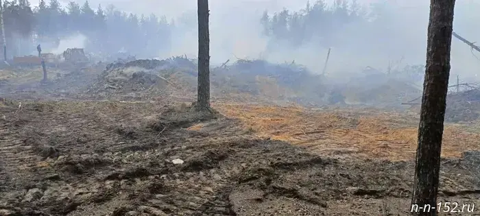 Последствия пожара на свалке рядом с Московским шоссе до сих пор устраняются.