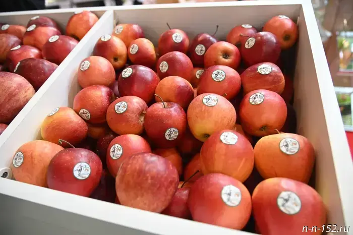 Щитовку нашли в 12 партиях завезённых фруктов в Нижегородской области.