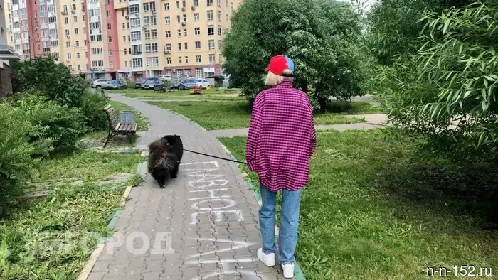 Bastrikin took control of the case regarding the damaged road in the Nizhny Novgorod region.