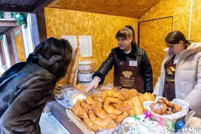 More than 220 "Buy Nizhny Novgorod" fairs were held in 49 municipalities of the region in 2025.