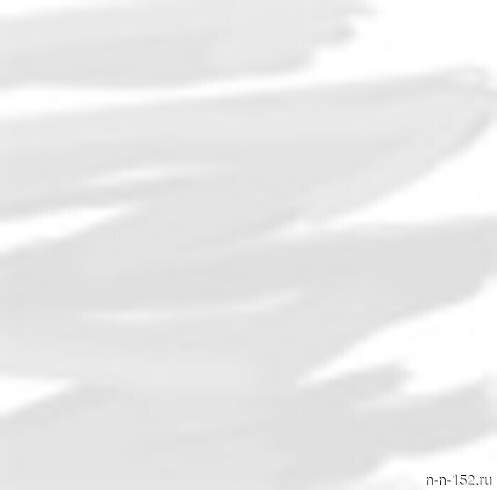 В Нижегородской области местный житель подозревается в убийстве своего брата (оперативное видео, видео-комментарий).