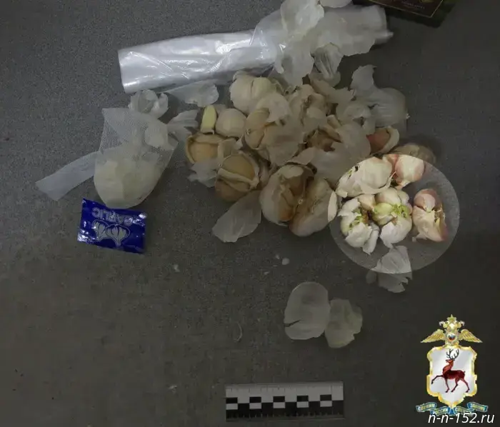 Нижегородка пыталась передать наркологические вещества заключенному, используя головку чеснока.