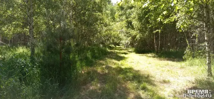 В Нижегородской области прогнозируется IV класс пожароопасности для лесов и торфяников.