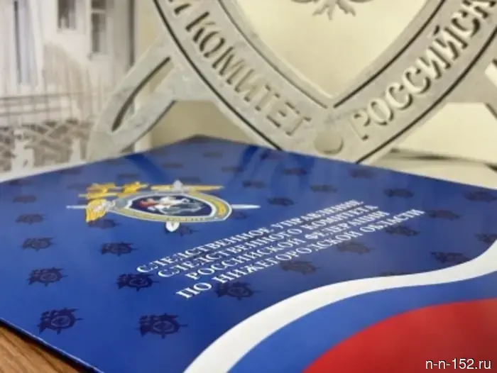 В Нижегородской области по информации из социальных сетей инициирована процессуальная проверка в связи с падением снежных масс с крыши многоквартирного дома.