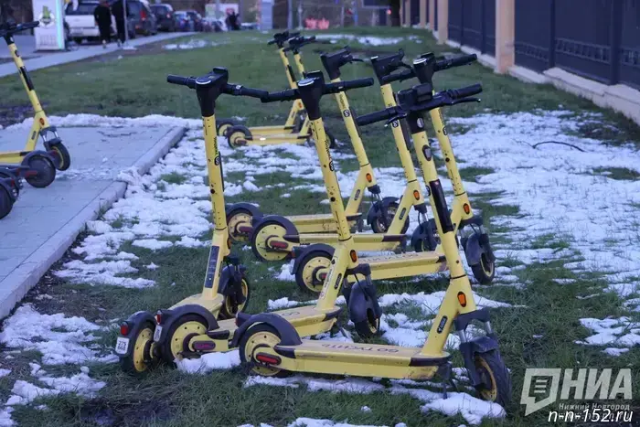 ЗСНО withdrew the initiative concerning fines for traffic violations committed by children on scooters.