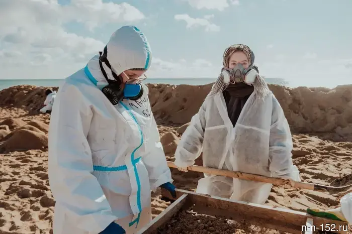 Жители Нижнего Новгорода имеют возможность представить свои концепты мемориалов, посвящённых волонтёрам, на общероссийском конкурсе.