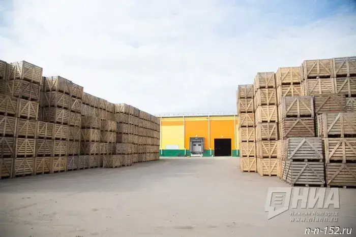Власти проведут обсуждение с жителями Новинок о потенциальном строительстве склада Wildberries.