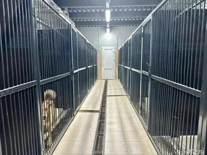 New warm boxes for animals have appeared at the veterinary hospital "Zooschutz-NN".