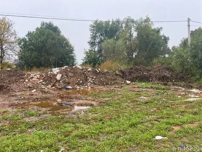 Житель Нижнего Новгорода по требованию Росприроднадзора должен компенсировать ущерб окружающей среде в размере свыше 1,9 миллиона рублей.