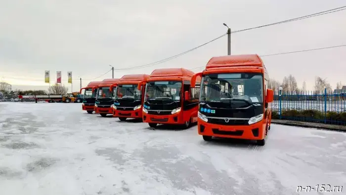 Nizhny Novgorod motor transport enterprises received 59 new buses.