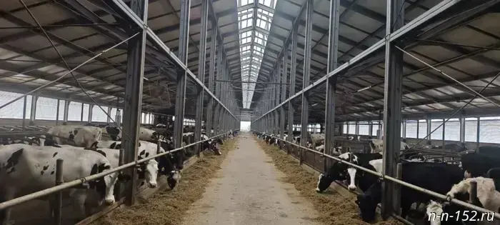 Компания «Дивеевское» стала участником проекта «Производительность труда».