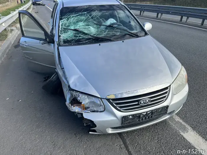A fatal traffic accident in the Kstovo District resulted in a criminal case.