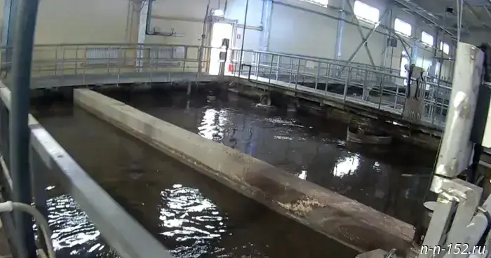 Vorsma Water Utility is required to eliminate the environmental violations identified by the Nizhny Novgorod office of Rosprirodnadzor.