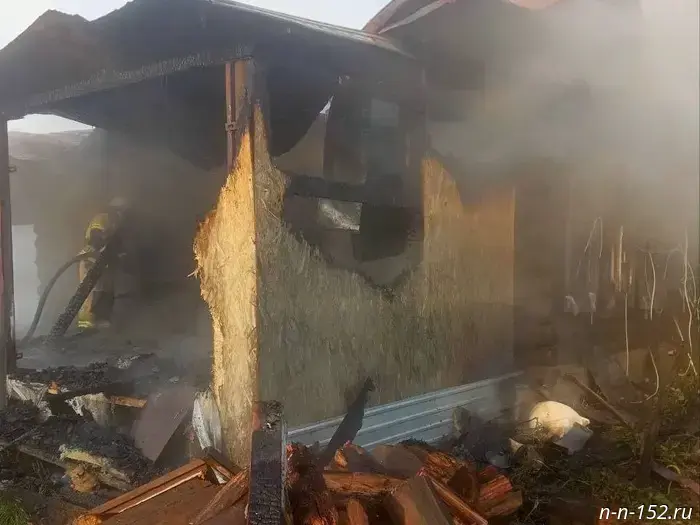 A woman burned alive in a summer house in the Spassky District.