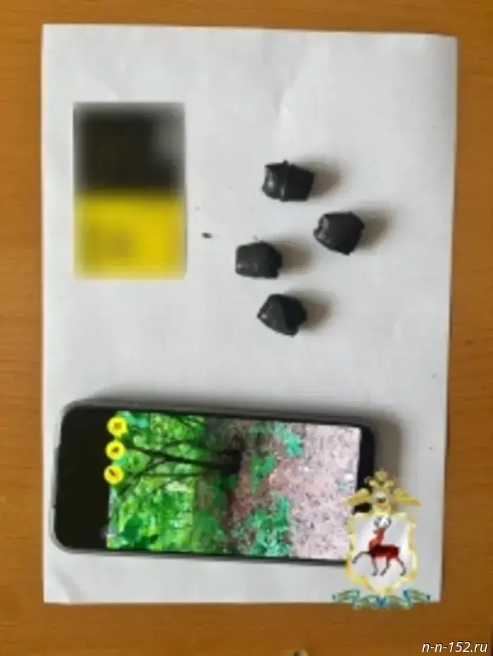 В Нижнем Новгороде стражи порядка предотвращили попытку реализации наркотиков.