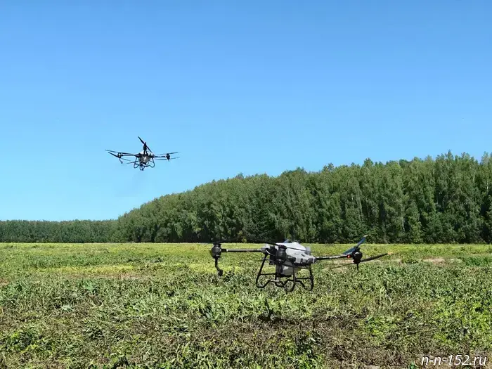 Unmanned aerial vehicles for agriculture are being tested in the Nizhny Novgorod region as part of an experimental legal regime.