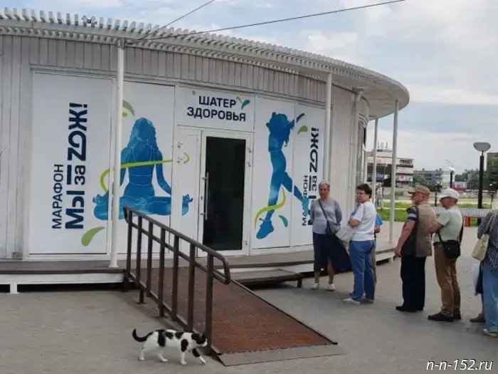About 11,000 Nizhny Novgorod residents have taken part in the regional marathon "We are for ZOZH!" since its launch.
