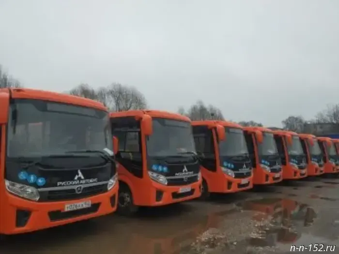Another 50 new buses have arrived in Nizhny Novgorod.
