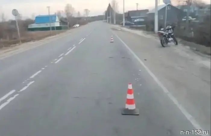 A man on a moped hit a dog in the Uren district.