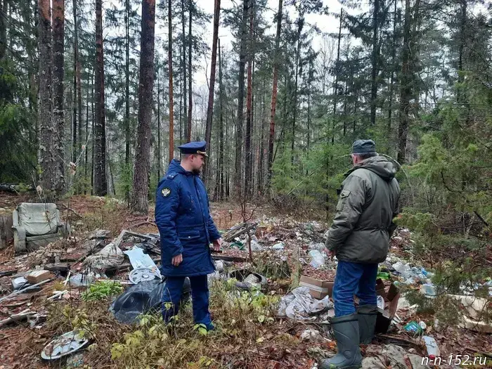 The prosecutor's office discovered an illegal dump and unauthorized construction in Nizhny Novgorod National Park.