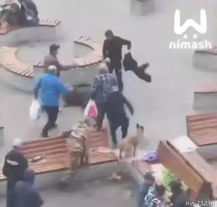 A strange brawl in Kstovo turned into a police investigation.