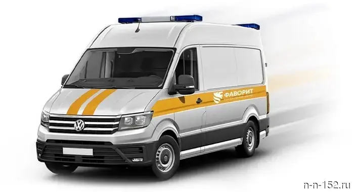 Professional assistance in bankruptcy: when it is necessary