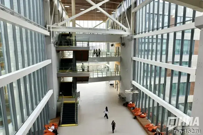 Школа 800 имеет намерение увеличить средний балл ЕГЭ до 80 к 2029 году.