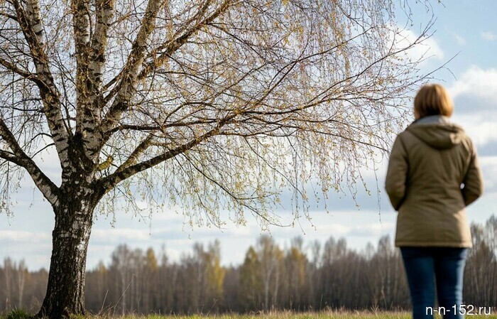 Убежать или сразиться: как защититься от аллергии на цветение берёзы.