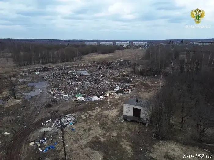 An illegal dump was removed in the Chkalovsky District.