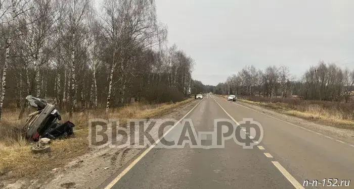 Нетрезвый водитель стал причиной дорожно-транспортного происшествия в Выксунском районе.
