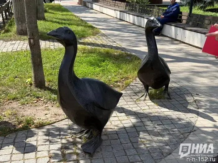 Один день в гусиной столице: что можно увидеть в Арзамасе.