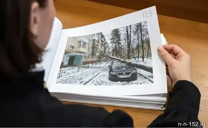 The Sormovsky Housing Maintenance Office was ordered to pay compensation for a tree that fell on a car.