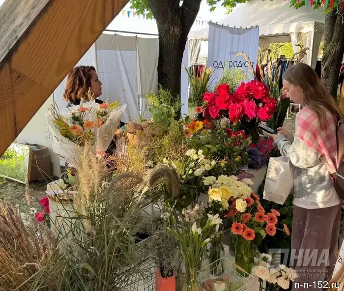 The "Botanica" festival in Nizhny Novgorod has been canceled due to a lack of funds.
