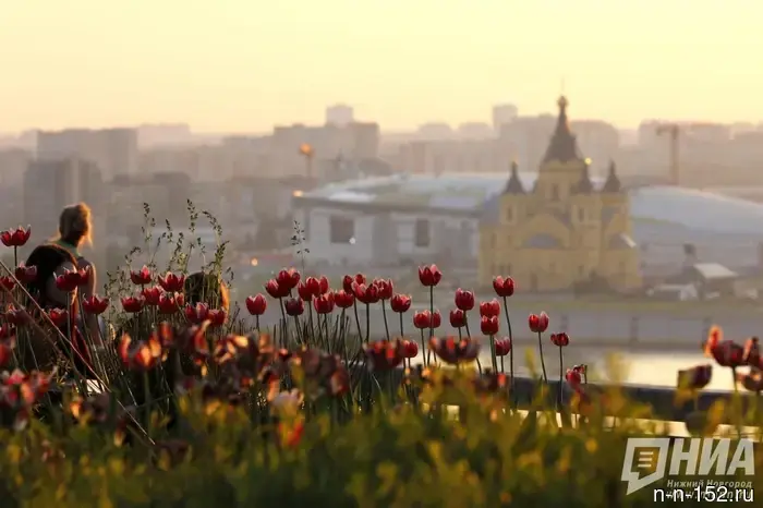 Forecasters promised Nizhny Novgorod residents a warm July with moderate precipitation.
