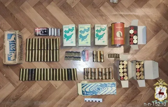 The Nizhny Novgorod associate professor has been accused again of illegal possession of weapons.