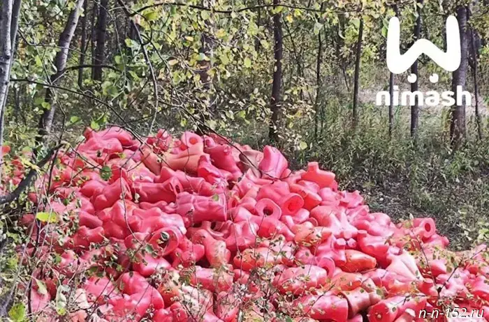 На берегу Везломы в Нижегородской области обнаружили "кладбище" манекенов.