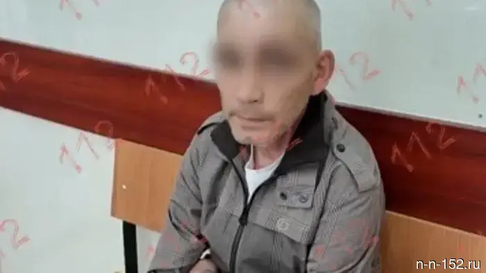 В Семеновском районе задержан местный житель, который похитил и пытался изнасиловать 11-летнюю девочку.
