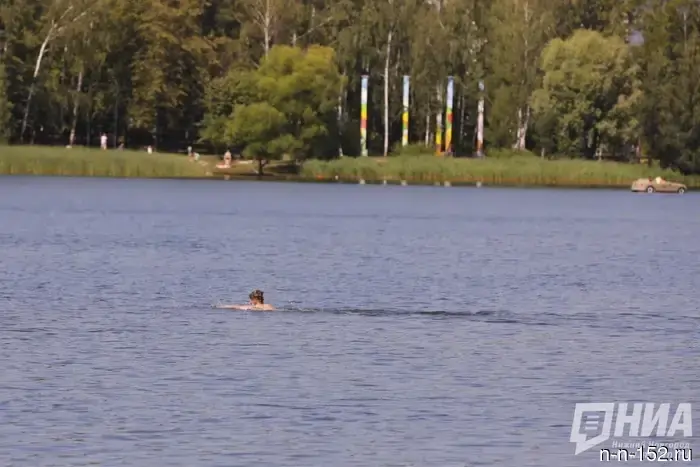 A child and three adults drowned in Nizhny Novgorod's water bodies over the week.