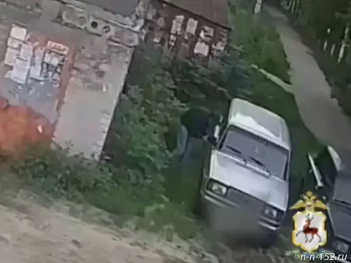 A serial car thief was caught in the Avtozavodsky District.