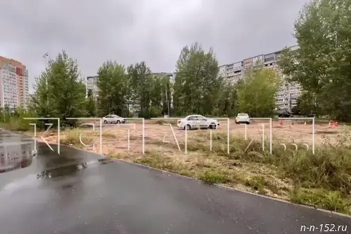 The driving school set up an illegal racetrack near Lake Meshcherskoye.