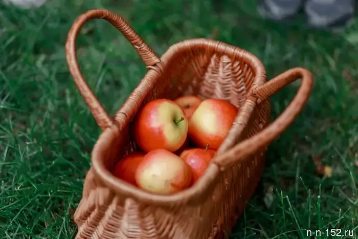 "The protected quarters" invite you to celebrate Apple Spas.