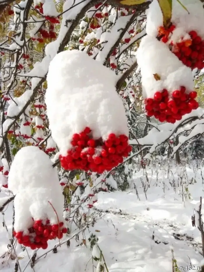 Татьянин день.