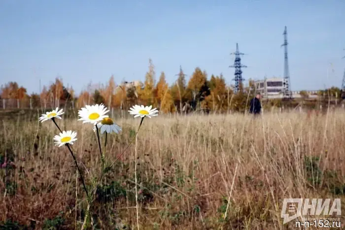The size of the Naidenko Environmental Award is planned to be increased to 90,000 rubles.
