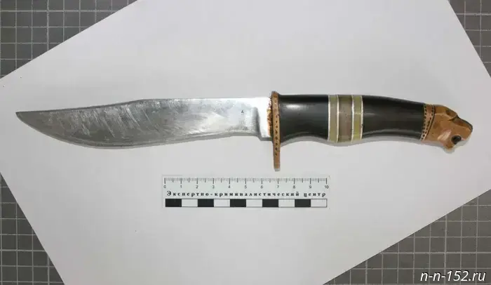Житель Шахуньи угрожал своей дочери расправой, держась с ножом.