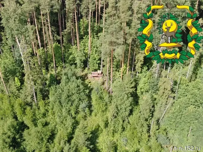 The drone detected illegal logging in the Sharang forestry.