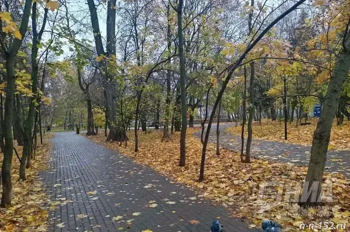 26 октября 2025 года, 10:28 Происшествия. В Урени, Нижегородская область, на улице Ленина произошёл пожар в частном жилом доме. Площадь возгорания составила 48 квадратных метров. 
По данным пресс-службы регионального управления МЧС, на месте происшествия работали 20 сотрудников и 5 единиц техники. 
К счастью, никто не пострадал. Четверо человек, включая двоих детей, смогли эвакуироваться из дома до прибытия пожарных. 
Предварительно установлено, что причиной возгорания стала шалость детей с огнём. Спасатели вновь подчеркнули важность регулярных разъяснений родителями о рисках, связанных с играми с огнём. 
Ранее сообщалось о женщинах, пострадавших в результате огненного ДТП на Молитовском мосту в Нижнем Новгороде, а также о почти сгоревшем строящемся коттедже около Богородска. 
У НИА "Нижний Новгород" есть Telegram-канал. Подписывайтесь, чтобы быть в курсе главных событий, эксклюзивных материалов и оперативной информации. Copyright © 1999—2025 НИА "Нижний Новгород". При перепечатке гиперссылка на НИА "Нижний Новгород" обязательна. Настоящий ресурс может содержать материалы 18+.